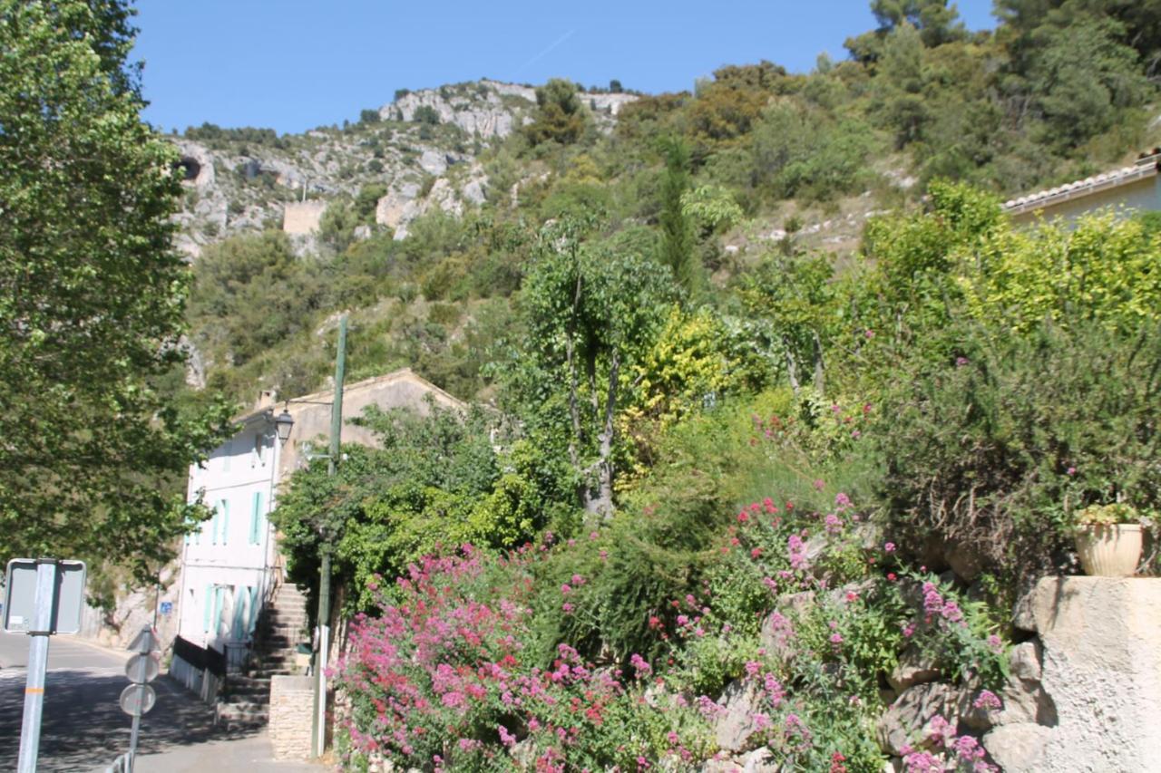 Au Bonheur De Lili Apartment Fontaine-de-Vaucluse Exterior photo